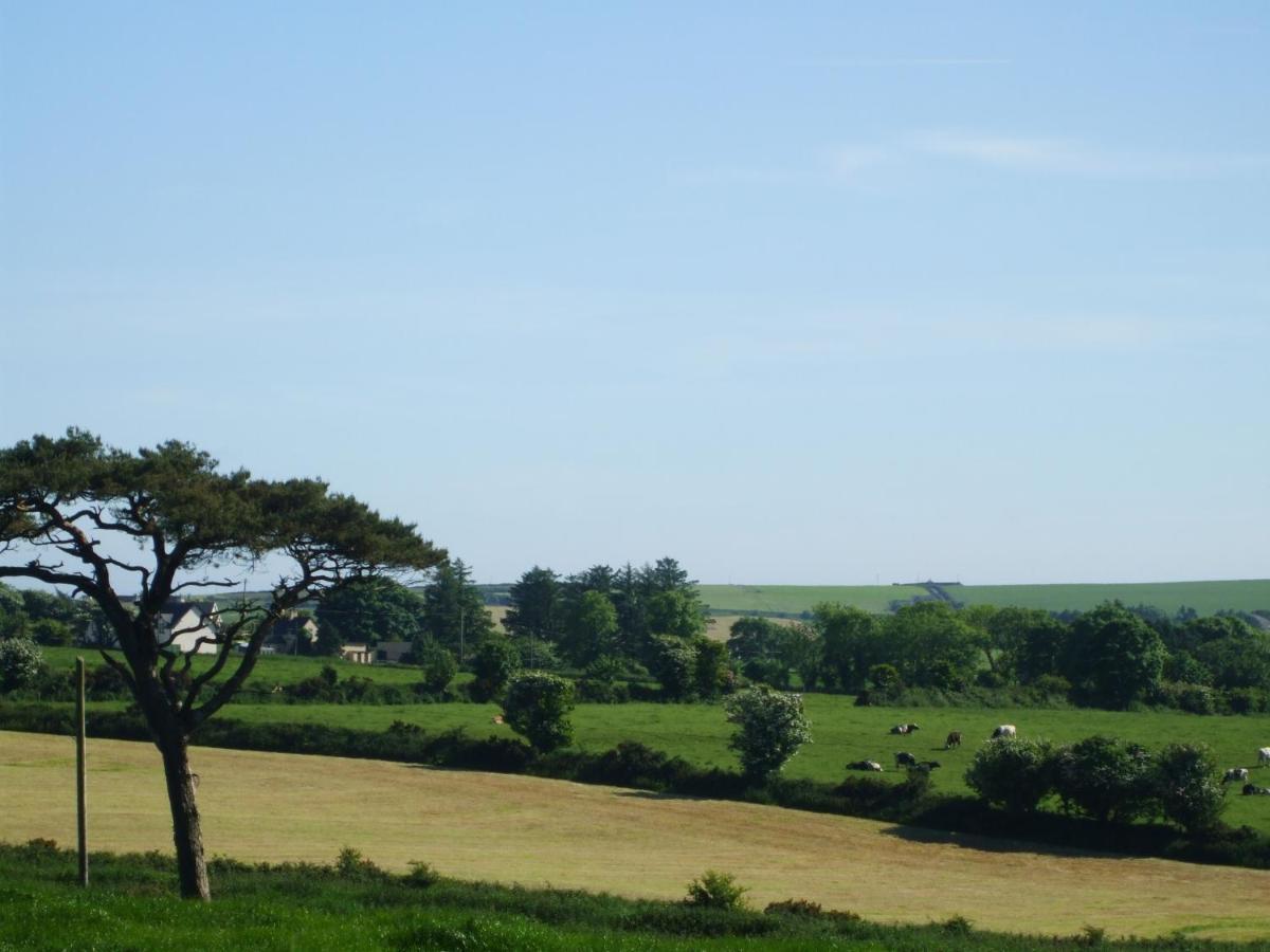 The Brown Hen Guest Accommodation Bandon Luaran gambar